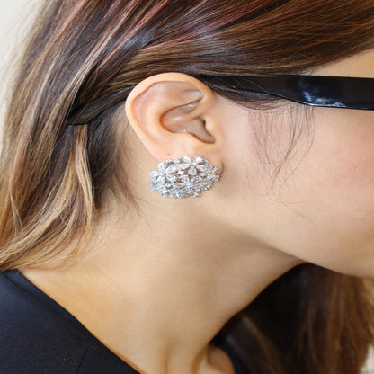 Alethia Earrings ₹9,000